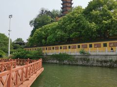 -老赵面店(大西路店)