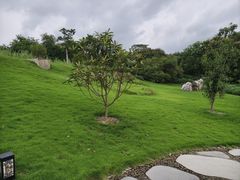 -广西壮族自治区药用植物园