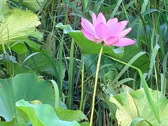 -苏州环秀晓筑养生度假村