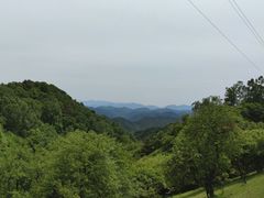 -关山草原