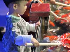 -中国宋庆龄青少年科技文化交流中心