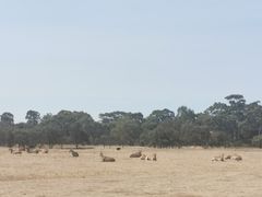 -威勒比开放式动物园