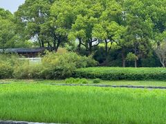 -蠡湖大桥公园