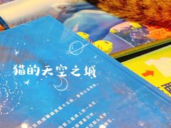-猫的天空之城概念书店(杭州南宋御街店)