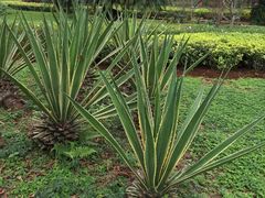 -白沙门生态公园