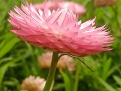 -西湖风景区-江洋畈生态公园