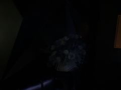 -黑桃K生日订制KTV