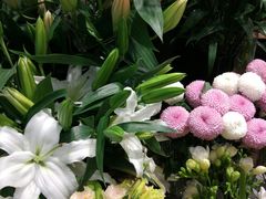 -光启城时尚购物中心