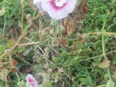 -武陵山森林公园