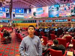 -拉斯维加斯永利酒店