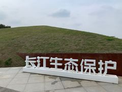 -南京眼步行桥