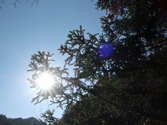 景点-云中大漈