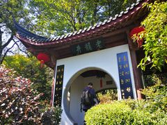 -十八棵（老龙井）御茶园(老龙井店)