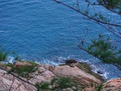 -广东惠东海龟国家级自然保护区