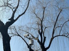 -上海交通大学(闵行校区)