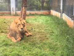 -昆明动物园