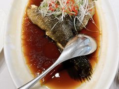 -新吉士·上海菜(浦东LCM置汇旭辉店)