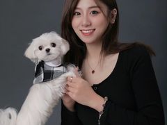 -萌宠之家·腊肠犬·马尔泰·小体犬舍