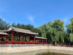 -尚庄度假村·庭台树下·户外烧烤·团建CS·轰趴营地(上庄水库店)