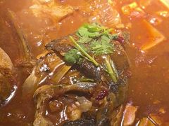 -卢大鲜鱼头捞饭(美利广场店)
