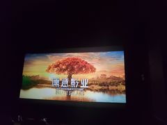 -博纳国际影城IMAX(中央大道店)