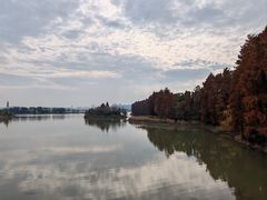 -东湖落雁景区