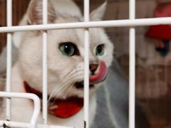 -小时光咖啡馆(北锣鼓巷店)