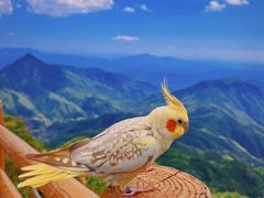 -明月山风景名胜区
