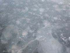 -北京鹿世界主题园