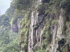 -石台牯牛降景区