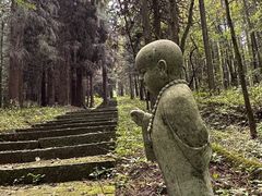 -武陵山森林公园