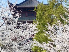 -堤角公园