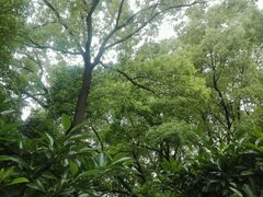 -汇龙潭