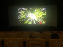 -华美影城(马栏广场店)