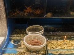 -金太阳海鲜烧烤·本地人餐厅(东纬路旗舰店)