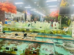 -景好海鲜餐厅(大鹏必选旅游店)