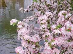 -海棠花溪(元大都城垣遗址公园)