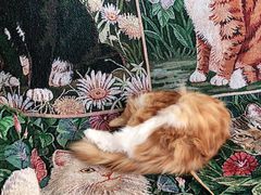 -平行世界·猫咖(首经贸店)