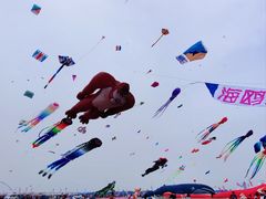 -潍坊滨海云门国际风筝放飞场