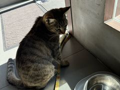 -Again Coffee Roaster(香蜜湖店)