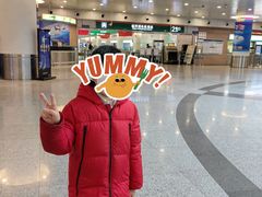 -龙阳路磁悬浮列车总站-停车场