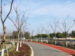 -上海长兴岛郊野公园