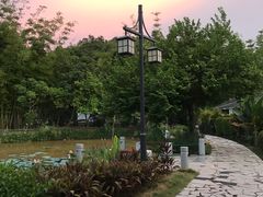 -林丰温泉度假山庄