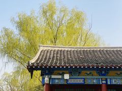 -莲花池公园