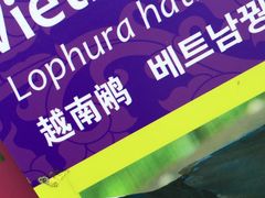 -新加坡飞禽公园