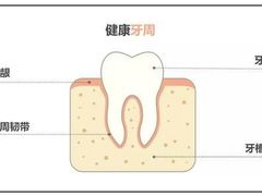 -团圆口腔·种植中心(锦江院区)