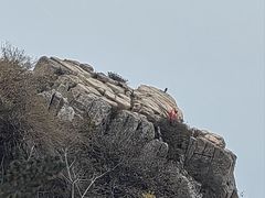 -泰山风景名胜区
