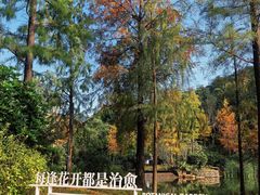 -云溪植物园