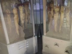 -一代烤翅王(大汉口店)