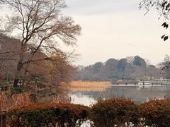 -井之头恩赐公园